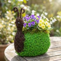 Article Jardinière Escargot Vigne Naturel, Vert 21x14cm H26cm