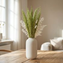 Article Herbe courbée Agrostis Capillaris Graminées Sèches Vert 65cm 80g