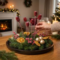 Article Branches décoratives Sabulosum rouge givré 4-6 25 pcs