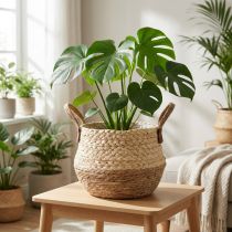 Article Panier à anses, cache-pot, jonc de mer, jute, Ø 23 cm H 20 cm, style bohème chic, décoration jungle urbaine