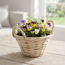 Article Panier décoratif à chips avec poignées pour des idées de design polyvalentes