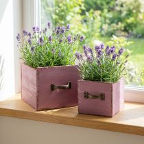 Article Bac à plantes tiroir bois violet 12,5/16cm lot de 2