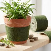 Article Ruban feutre Franzi pot ruban laine feutre vert foncé 15cm 4m