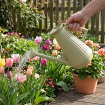 Article Arrosoir de 9 L vert olive avec pommeau amovible, pratique pour l'entretien du jardin et des fleurs, robuste, 42 cm
