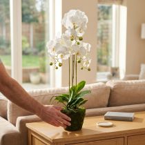 Article Orchidées artificielles pour le pot blanc 80cm