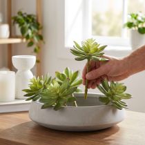 Article Plantes succulentes artificielles Plantes artificielles Vert Ø10cm 4 pcs