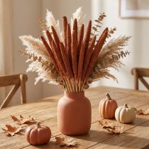 Article Décoration de fleurs séchées, épis de millet, babala pour la maison et le jardin