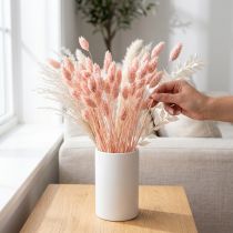 Article Phalaris rose brillant herbe séchée décoration sèche 65cm 60g