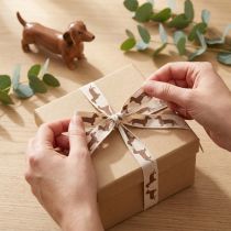 Article Ruban cadeau à motif teckel pour loisirs créatifs, 15 mm x 18 m