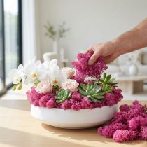 Article Mousse décorative Mousse de renne Erika 400g