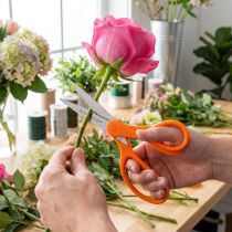 Article Ciseaux à fleurs avec dents en acier inoxydable en orange 20cm