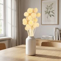 Article Décoration de fleurs séchées Craspedia couleur crème, 20 pièces, 50-55 cm