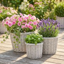 Article Grand panier à fleurs avec revêtement aluminium, blanc-gris, Ø43/34/28 cm, lot de 3