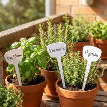 Article Etiquette plante 10cm 100pcs