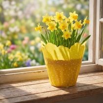 Article Manchettes Rondella Ø38cm jaune 50pcs
