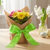 Article Ruban cadeau vert citron 30mm 100m