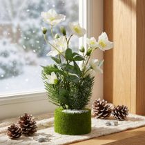 Article Rose de Noël artificielle avec sapin et boule de mousse, recouverte de neige blanche, 33 cm