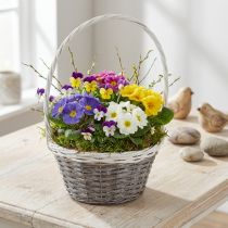 Article Panier en osier avec anse, gris et blanc, Ø 29 cm, cadeau, décoration florale