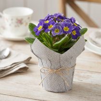 Article Cache-pot en papier à pois pour emballage cadeau Fleurs Ø7cm H14cm 12 pcs