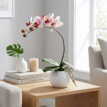 Article Orchidée rose en pot céramique 31cm