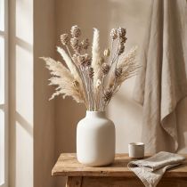 Article Salignum Protéa blanchie sur sa tige Ø2-4cm 25 pcs