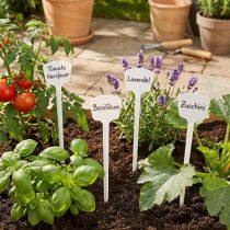 Article Etiquette plante 24cm 10pcs.