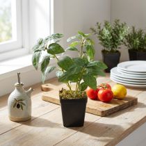 Article Basilic Artificiel en Pot Herbes en Vert H22cm