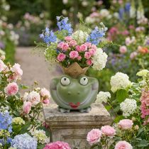 Article Frog King Déco Vase Jardin Décoration Grenouille Vase 21×17.5×23cm
