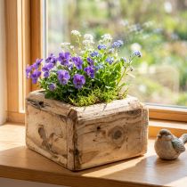 Article Cache-pot jardinière pot de fleurs en bois naturel 12×12×8.5cm