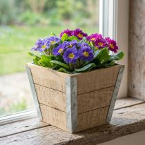 Article Boîte à fleurs jardinière en bois shabby chic beige 12.5×14.5×14.5cm