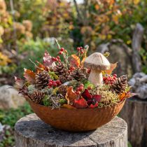 Article Bol décoratif en métal, bol décoratif à l'aspect rustique, Ø30cm H8.5cm
