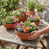 Article Bol R en plastique terre cuite Ø 13 cm - 19 cm, 10 pièces