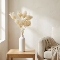 Article Fleurs séchées fenouil crème blanchi 45cm bouquet 10 pcs