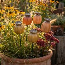 Article Capsule de pavot décorative à piquer - élément décoratif pour le jardin et les projets de bricolage - 41 cm, lot de 4