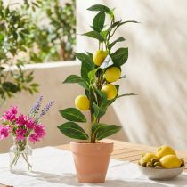 Article Citronnier en pot, plante artificielle de 42 cm - Décoration méditerranéenne
