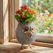 Article Panier à plantes hibou vigne blanc lavé Ø14cm