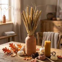 Article Fleuristerie sèche Céréales Botte d'épis de millet séchés 45cm