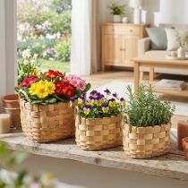 Article Cache pot panier à plantes avec anses nature 22/27/33cm lot de 3