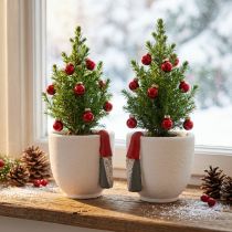 Article Pot de Noël avec gnome, décoration de l'avent, jardinière en béton blanc, rouge Ø8cm H12.5cm 2pcs