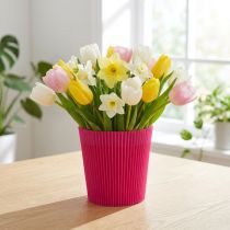 Article Poignets plissés Cerise 12,5cm 100 pièces