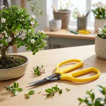 Article Bonsaï Oasis et pince à épiler 15,5 cm