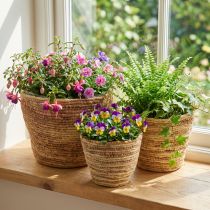 Article Ensemble de paniers à plantes en rotin, naturel/marron, 3 pièces, Ø26/22/16 cm – Décoratif et polyvalent