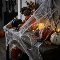Article Toile d'araignée décorative d'Halloween 70×100cm 150g