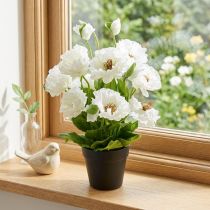Article Pavot dans un pot de fleurs en soie blanche décoration florale