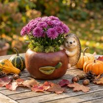 Article Jardinière, pomme avec hérisson, décoration d'automne, cache-pot, céramique Ø16cm H22cm L33cm