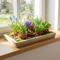 Article Plateau en bois de Paulownia, coupe jardinière à motif géométrique L45cm H4.5cm
