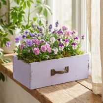 Article Jardinière Tiroir Décoratif Shabby Chic Bois Violet 25×13×8cm