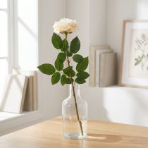 Article Rose abricot blanc crémeux, fleur de soie, roses artificielles L72cm Ø12cm