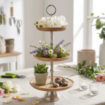 Article Présentoir à gâteaux en bois de manguier naturel décoration de table Ø19/23/28cm H55cm