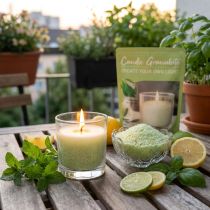 Article Granulés de cire pour bougie, mèche parfumée à la citronnelle, 400 g